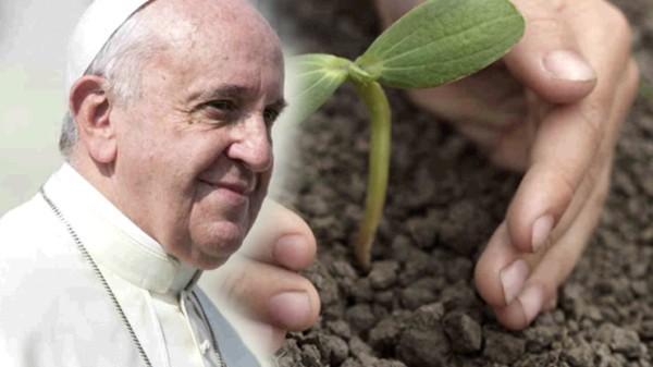 papal ecology