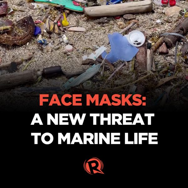 Face masks: A new threat to marine life